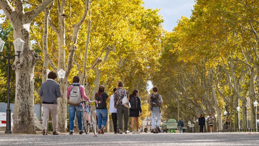 Beaux Arts-Boutonnet