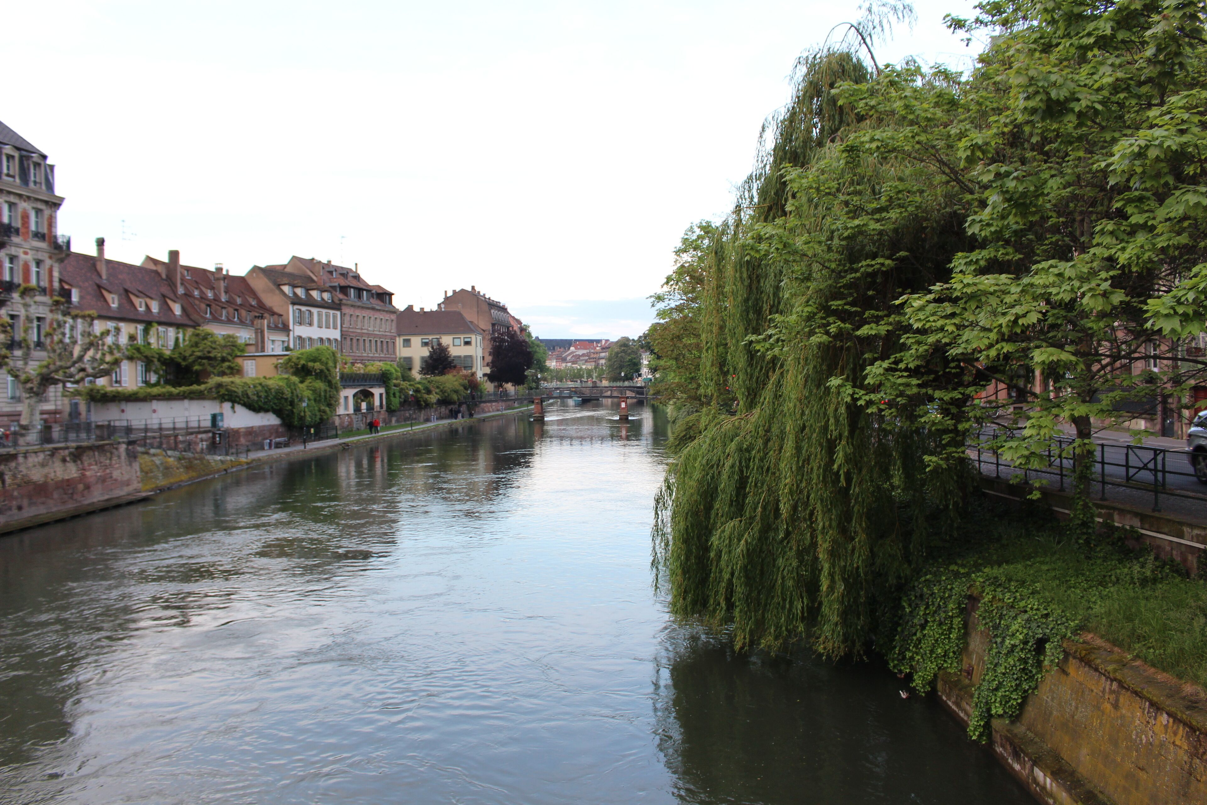 A calm river with buildings on one side and a tree-lined bank on the other.