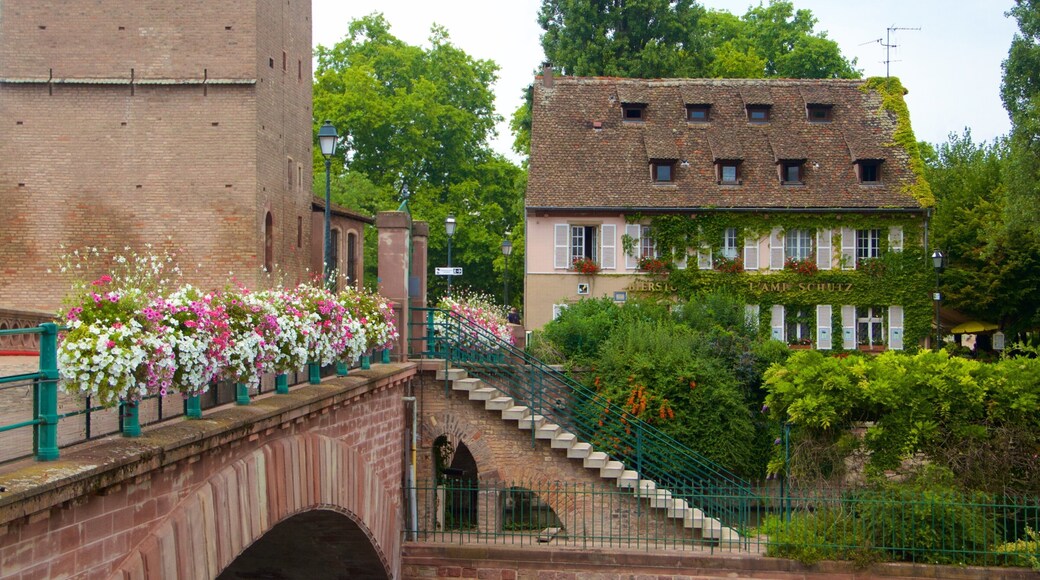 Petite France featuring heritage elements and flowers