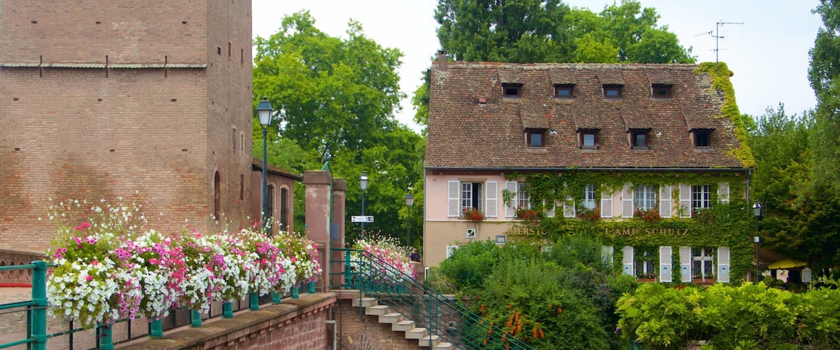 Petite France which includes flowers and heritage elements