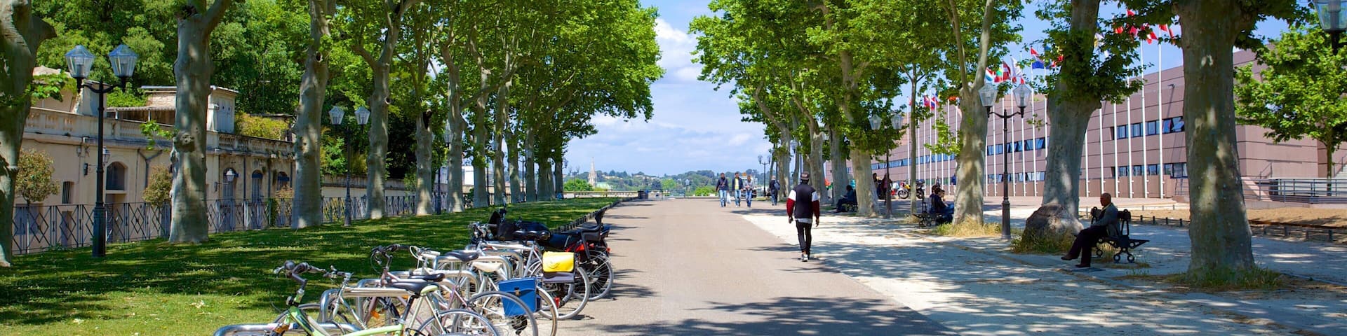 Montpellier which includes street scenes