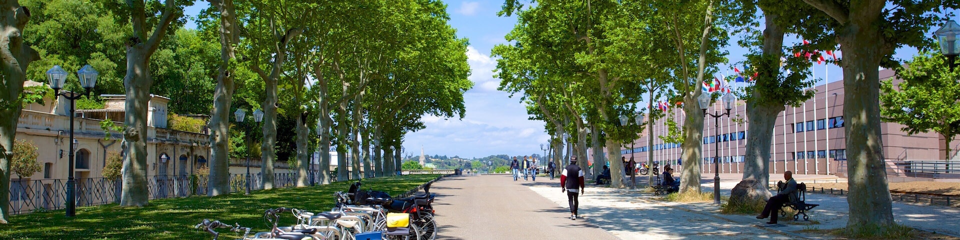 Montpellier which includes street scenes