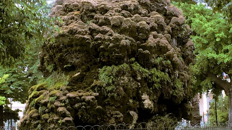 Fountain "small island moussu" in the square Planchon at Montpellier (Hérault).
