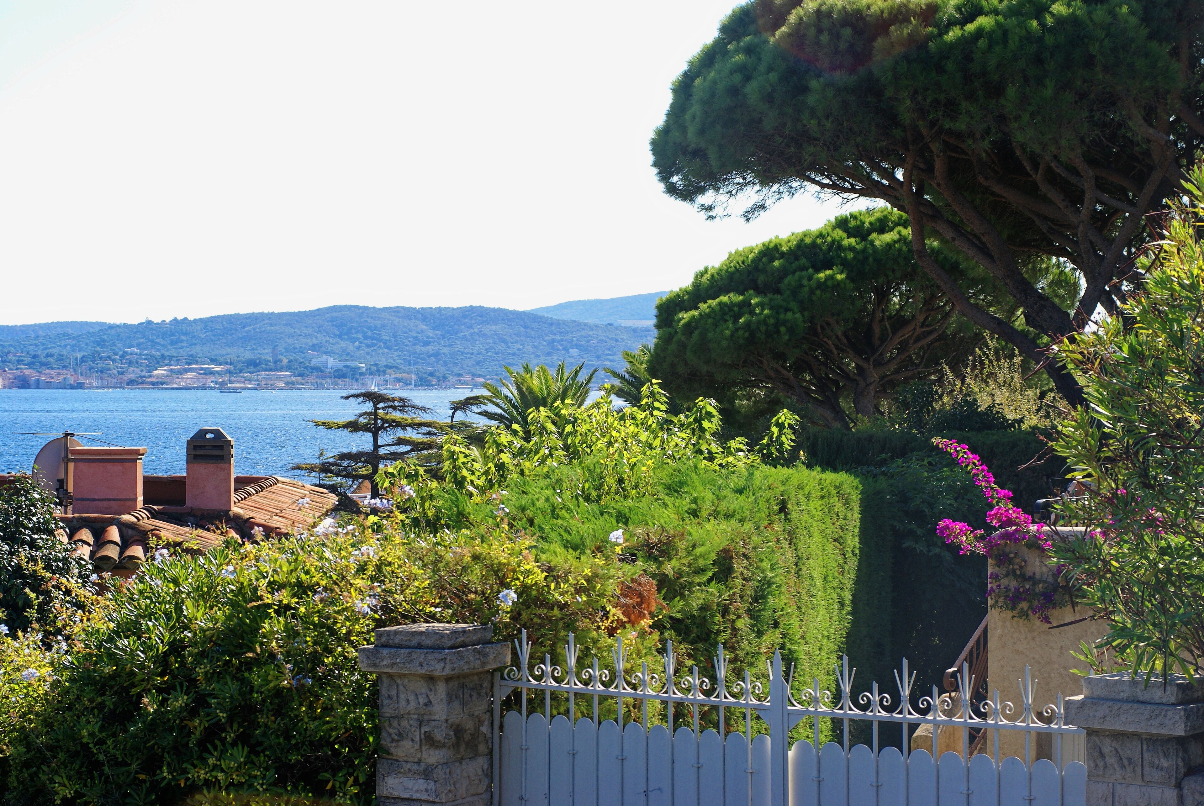 Sainte-Maxime - Avenue du Montfleuri - View SSW