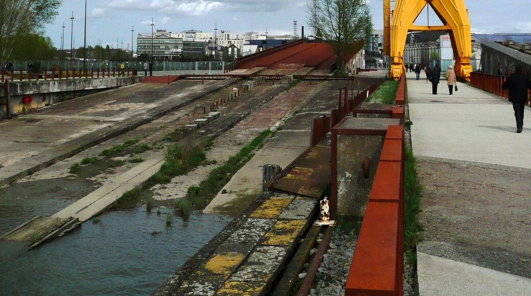 Grue Titan jaune (1954)