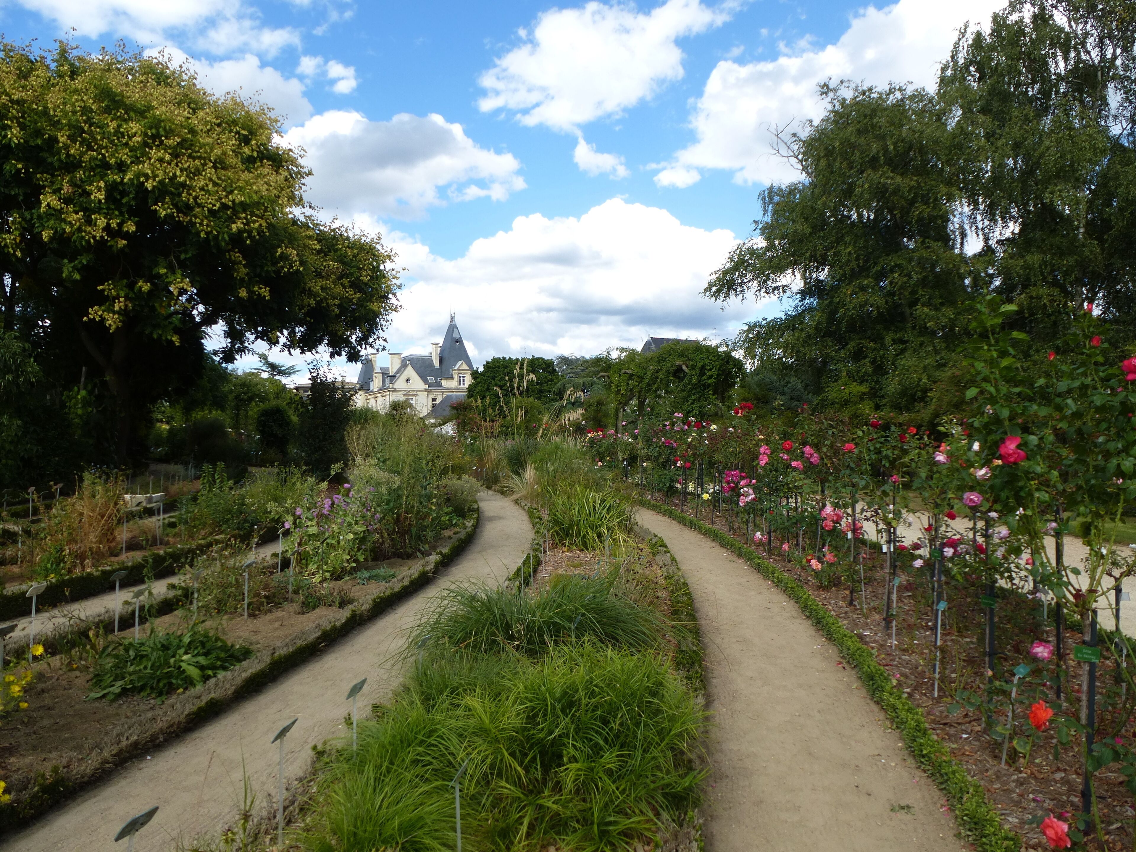 A garden path with flowering plants and a large building in the background.