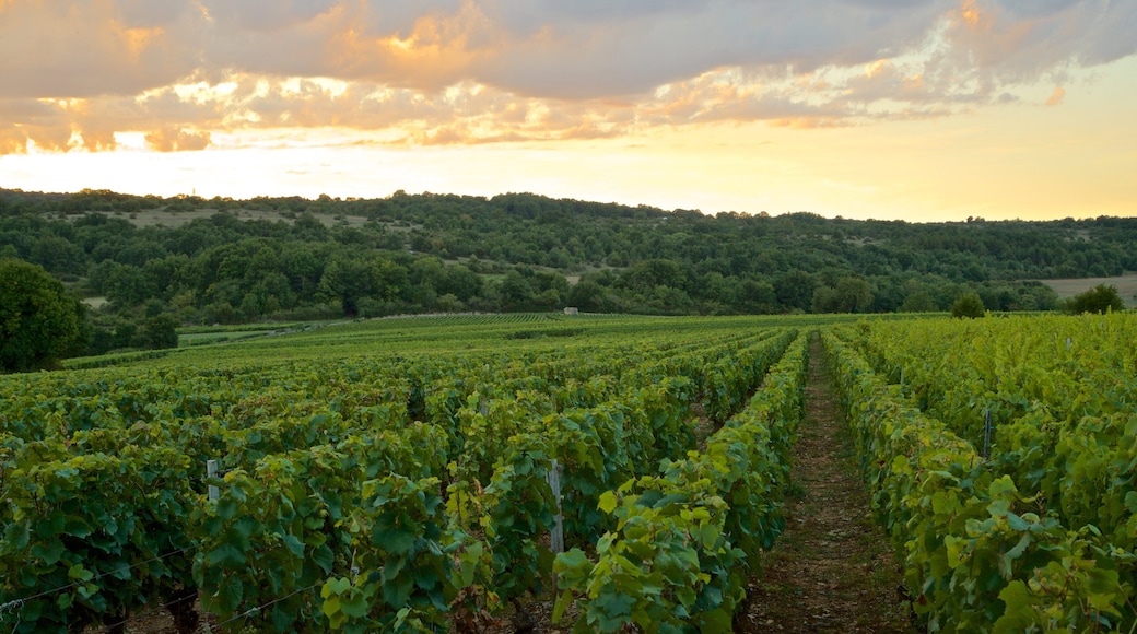 Beaune City Centre which includes landscape views, farmland and a sunset