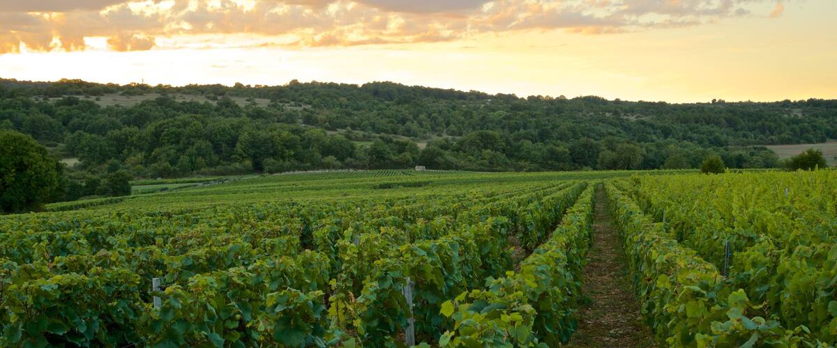 Beaune City Centre which includes landscape views, farmland and a sunset
