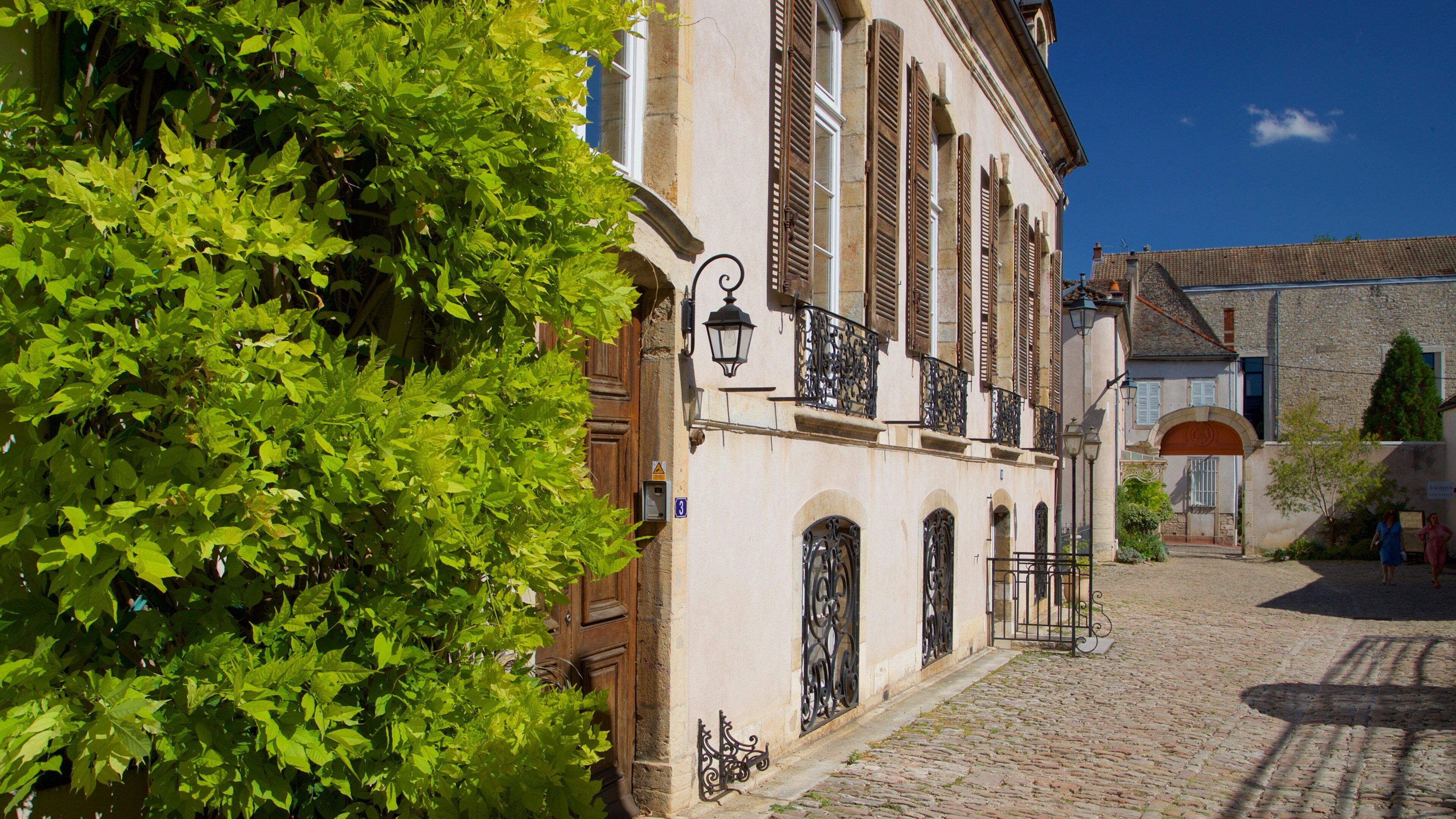A cobblestone street lined with historic buildings, featuring wrought iron balconies and a lush green tree.