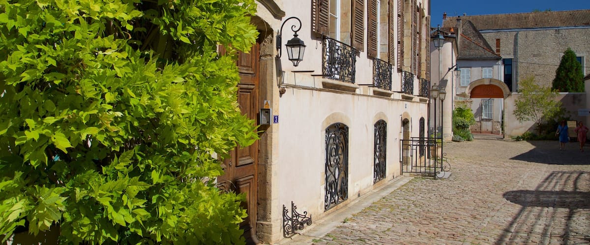 A cobblestone street lined with historic buildings, featuring wrought iron balconies and a lush green tree.
