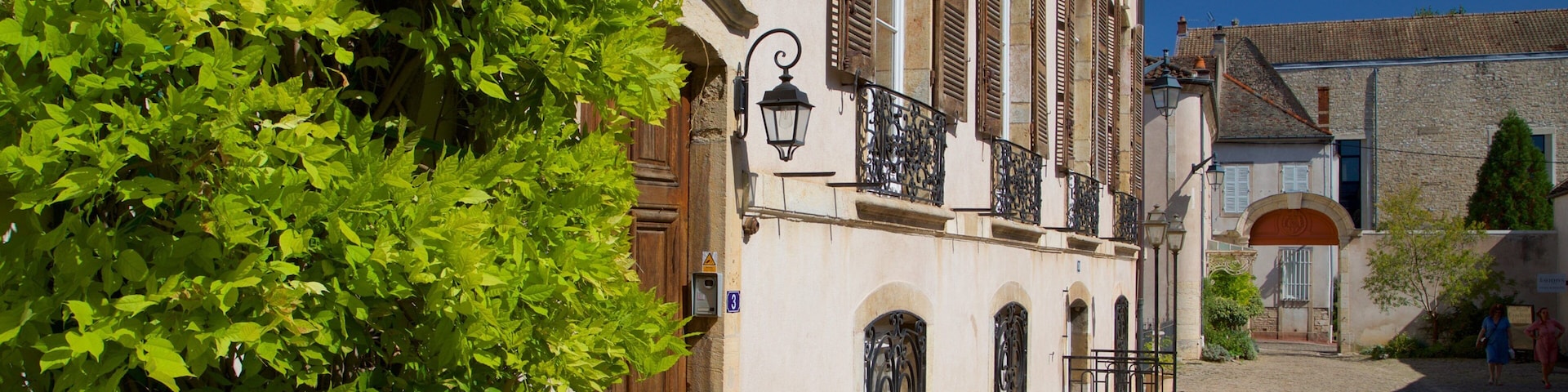 A cobblestone street lined with historic buildings, featuring wrought iron balconies and a lush green tree.