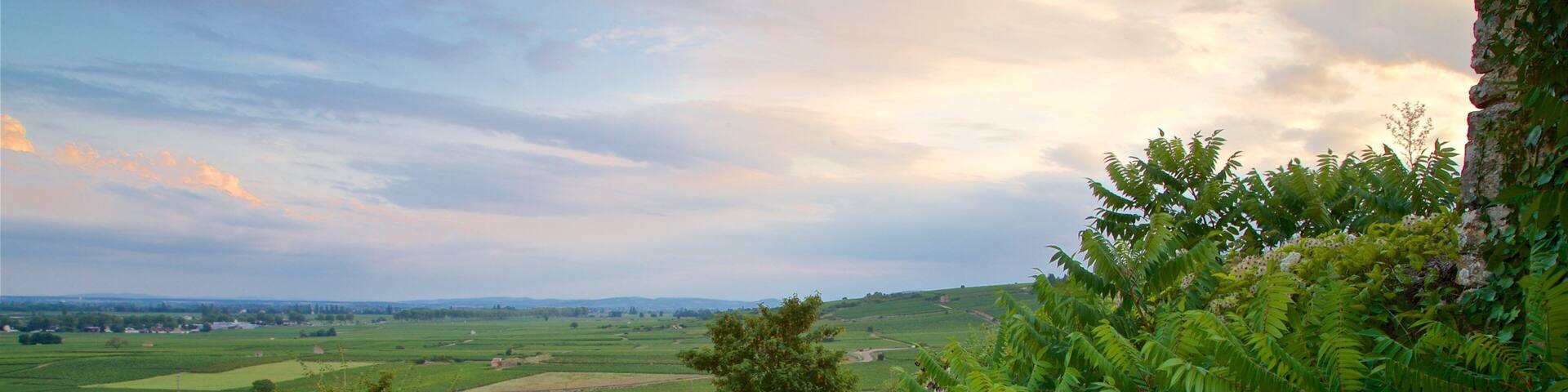 Beaune qui includes ferme, coucher de soleil et panoramas