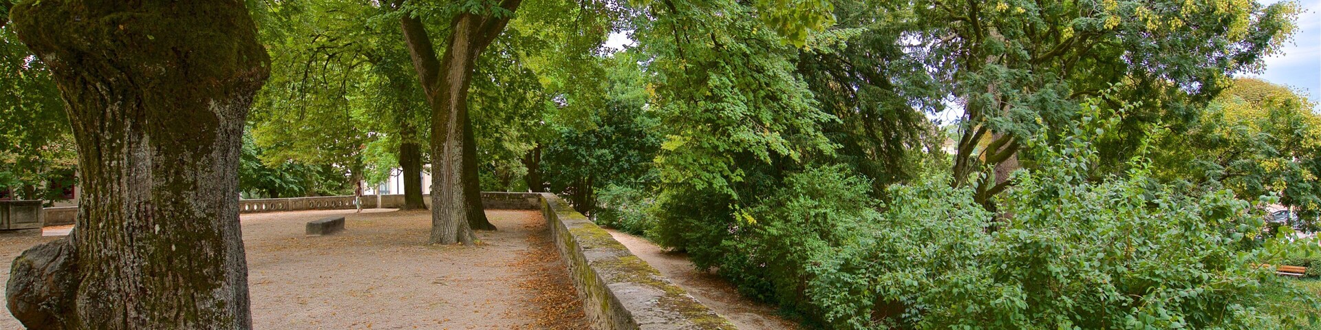 Un parque con un banco de piedra, árboles y un sendero.