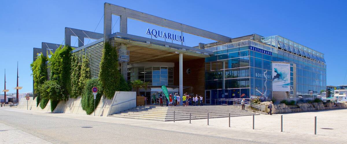 Aquarium La Rochelle featuring marine life