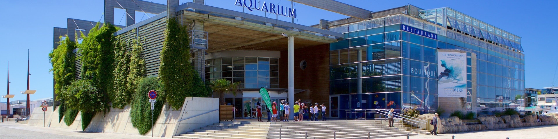 Aquarium La Rochelle featuring marine life