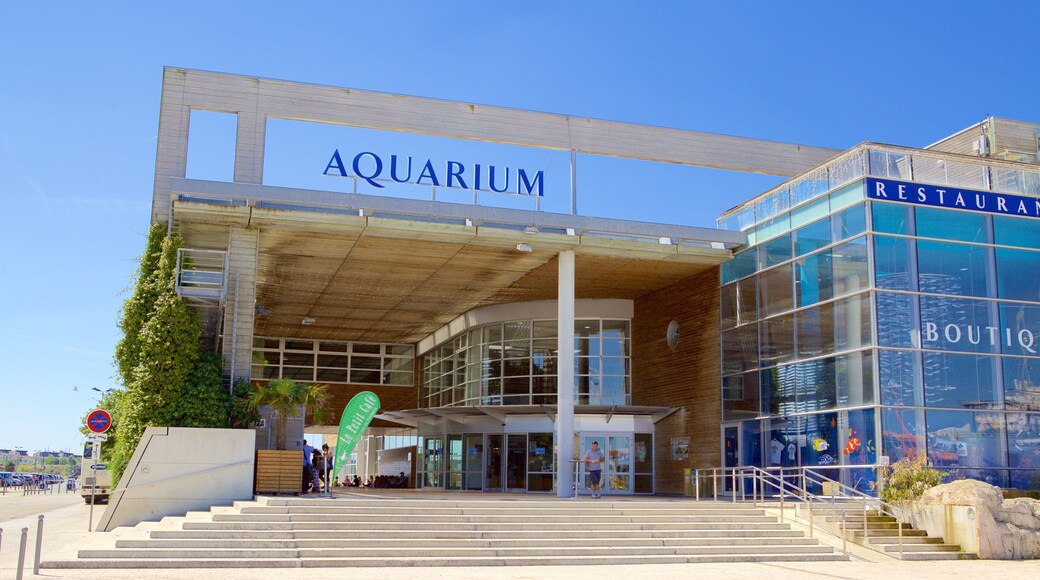 Aquarium La Rochelle que inclui vida marinha