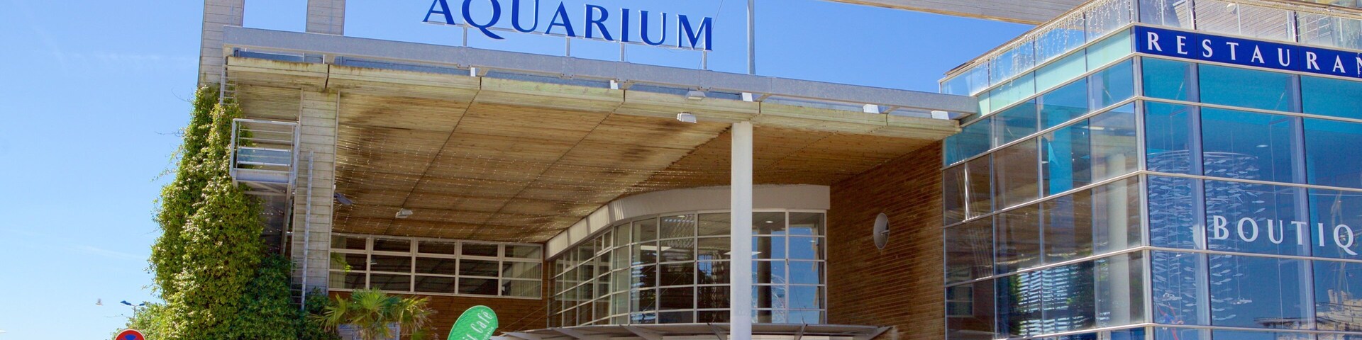 Aquarium La Rochelle which includes marine life