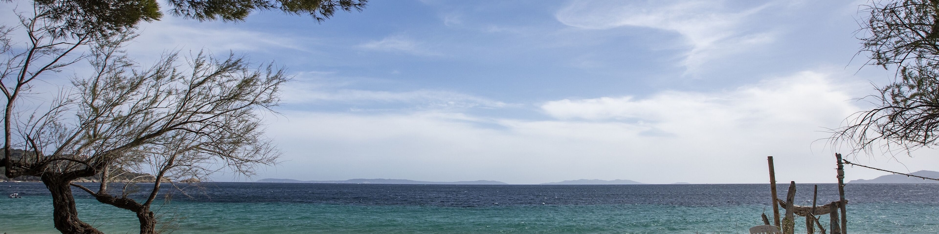 Beautiful view of trees on the beach in Cavaliere, France