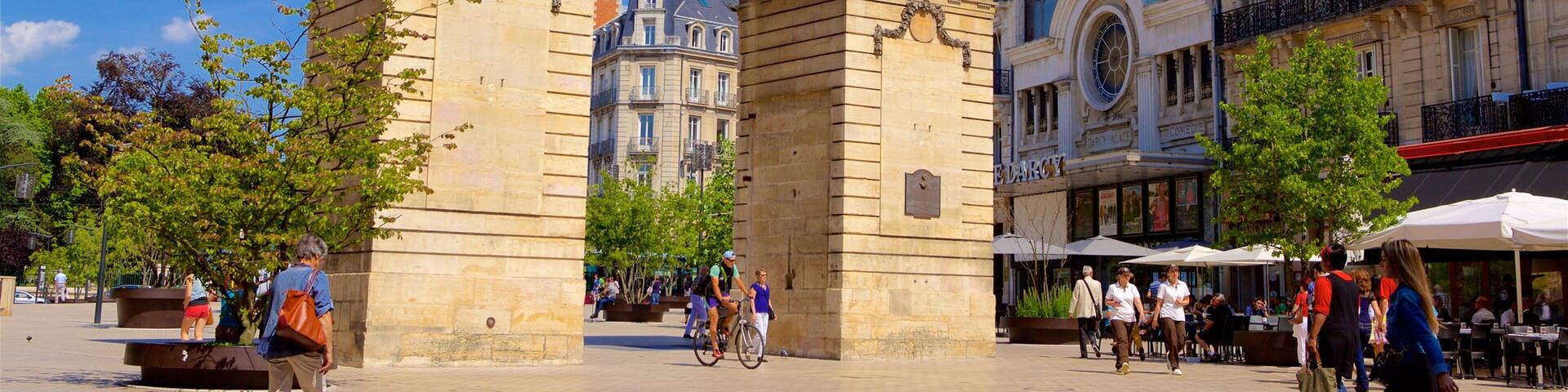 Dijon ofreciendo patrimonio de arquitectura, un parque o plaza y un monumento