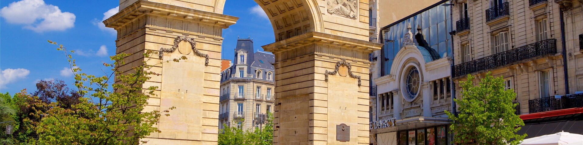 Dijon featuring a monument, heritage architecture and a city