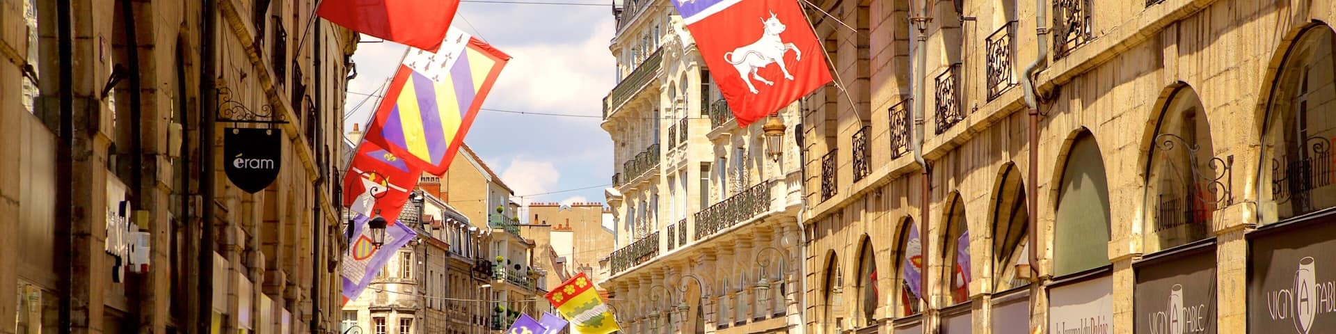 Dijon which includes street scenes and heritage elements as well as a small group of people