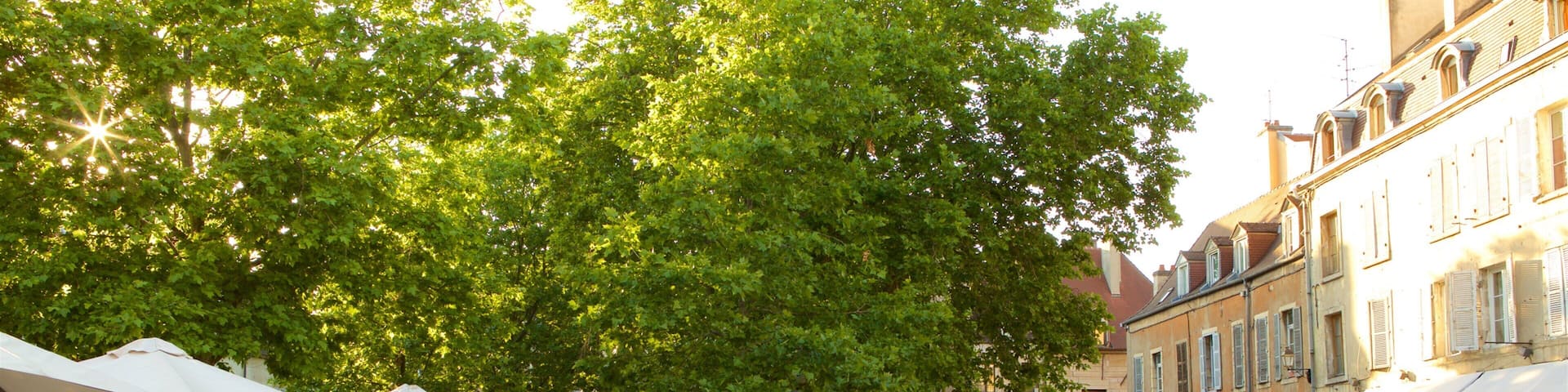 Dijon welches beinhaltet Stadt und StraĂenszenen