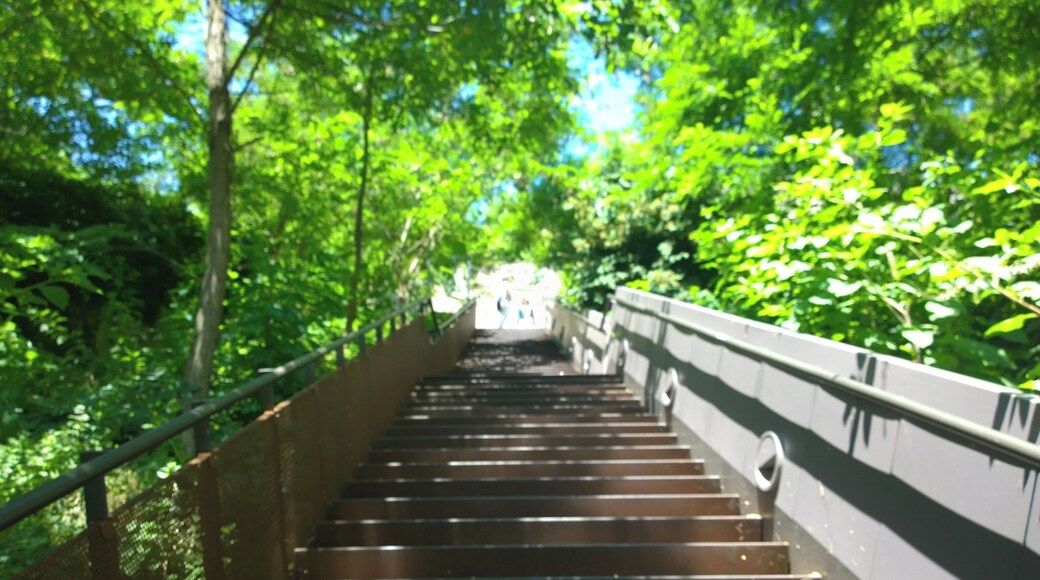 Vieux Lyon - Quarantaine, Lyon, France