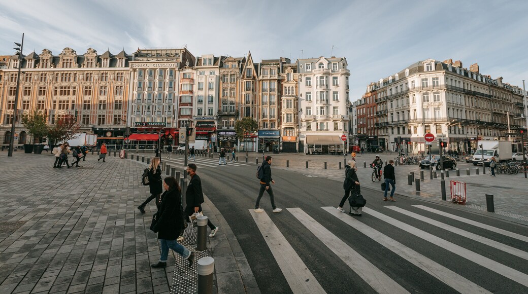 Lille Centre Ville featuring a city, street scenes and heritage elements