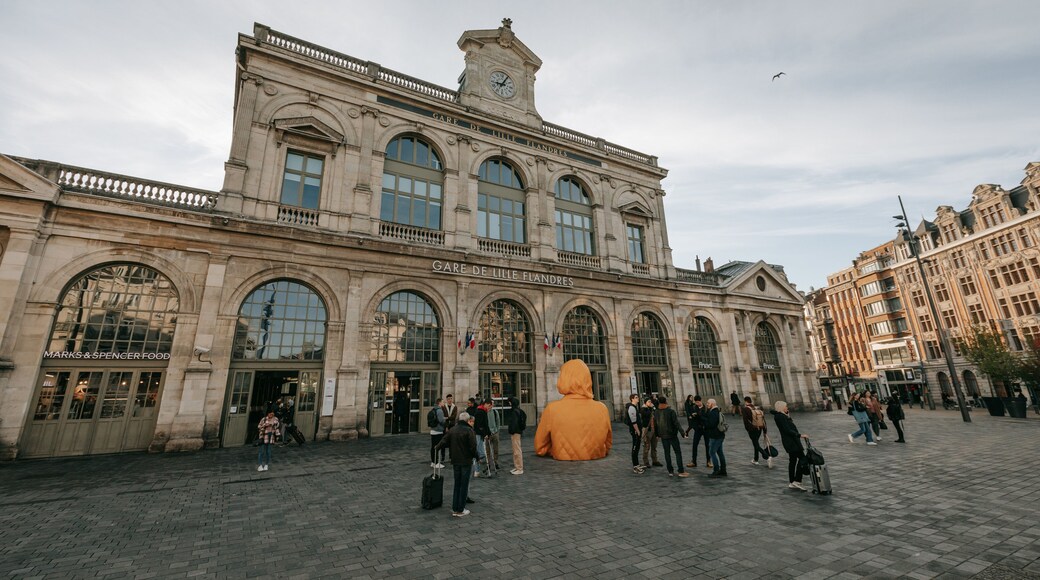 Lille Centre Ville featuring heritage architecture, a city and street scenes