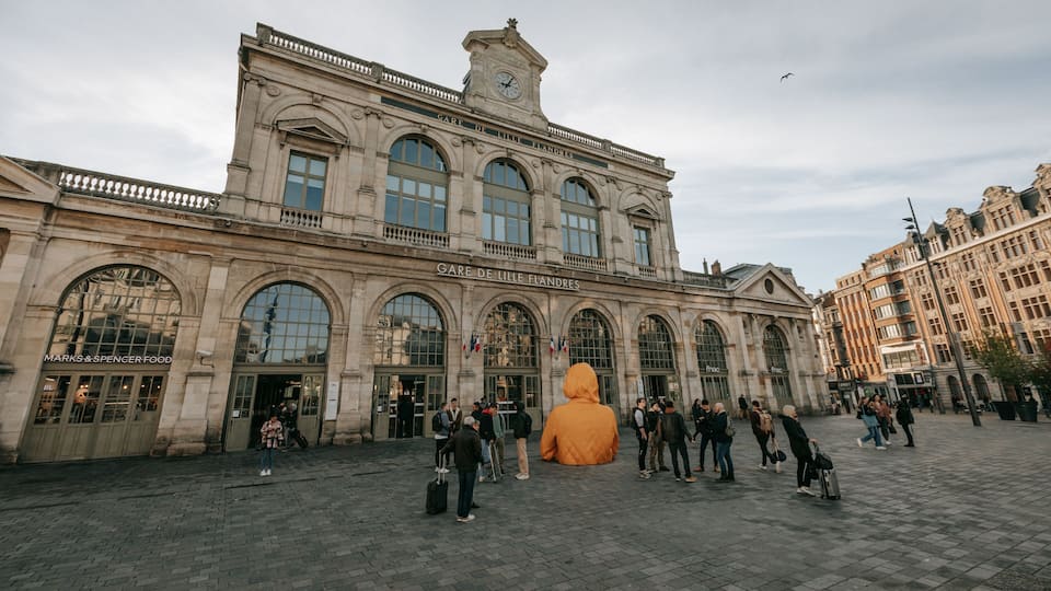 Lille Centre Ville featuring heritage architecture, a city and street scenes
