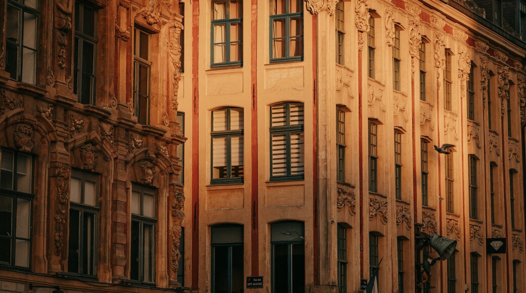 Lille Centre Ville featuring heritage elements