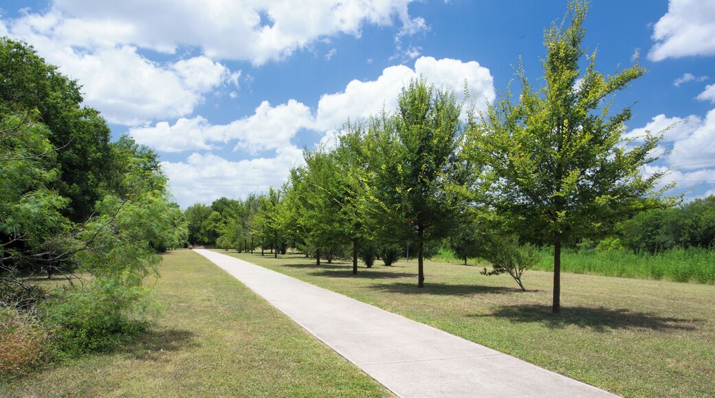 SanAntonio_NorthSanAntonioSAT_553248633938962547_06