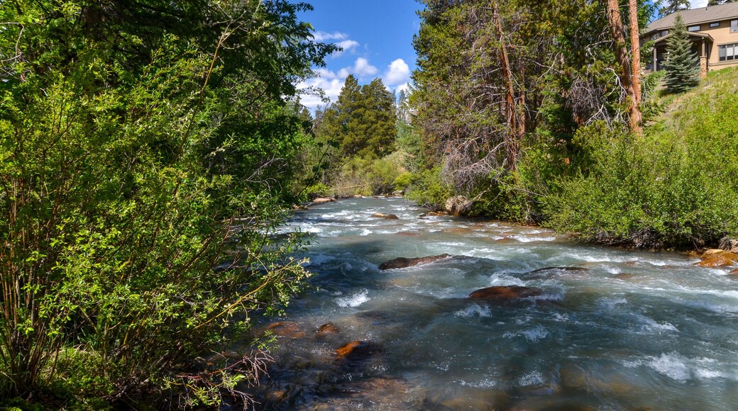 rapids of the Snake River in Keystone, Colorado