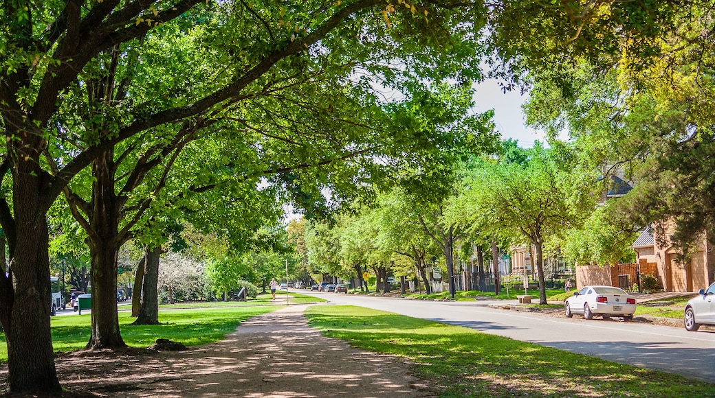 March, 2017, Houston, TX: A man jogs on the Paul Carr Jogging Trail in the Houston Heights
