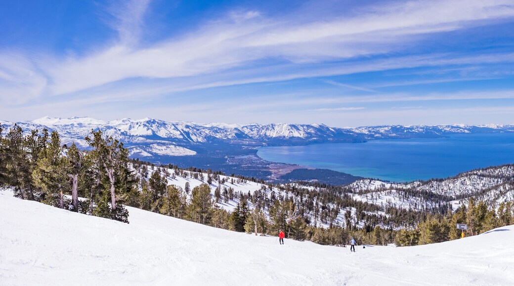 Lake Tahoe from Heavenly Resort - skiing - Activity all over - panoramic