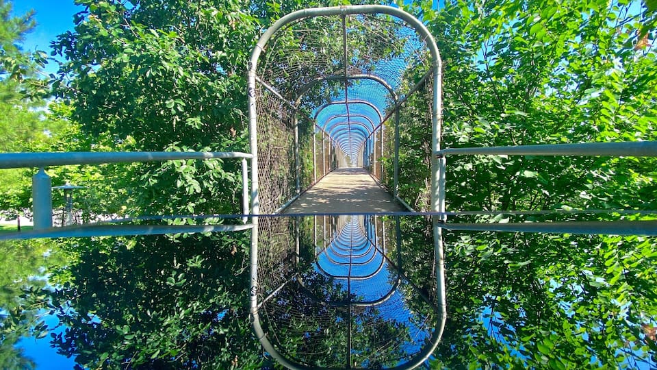 Um caminho refletido, ladeado por árvores verdes e exuberantes.