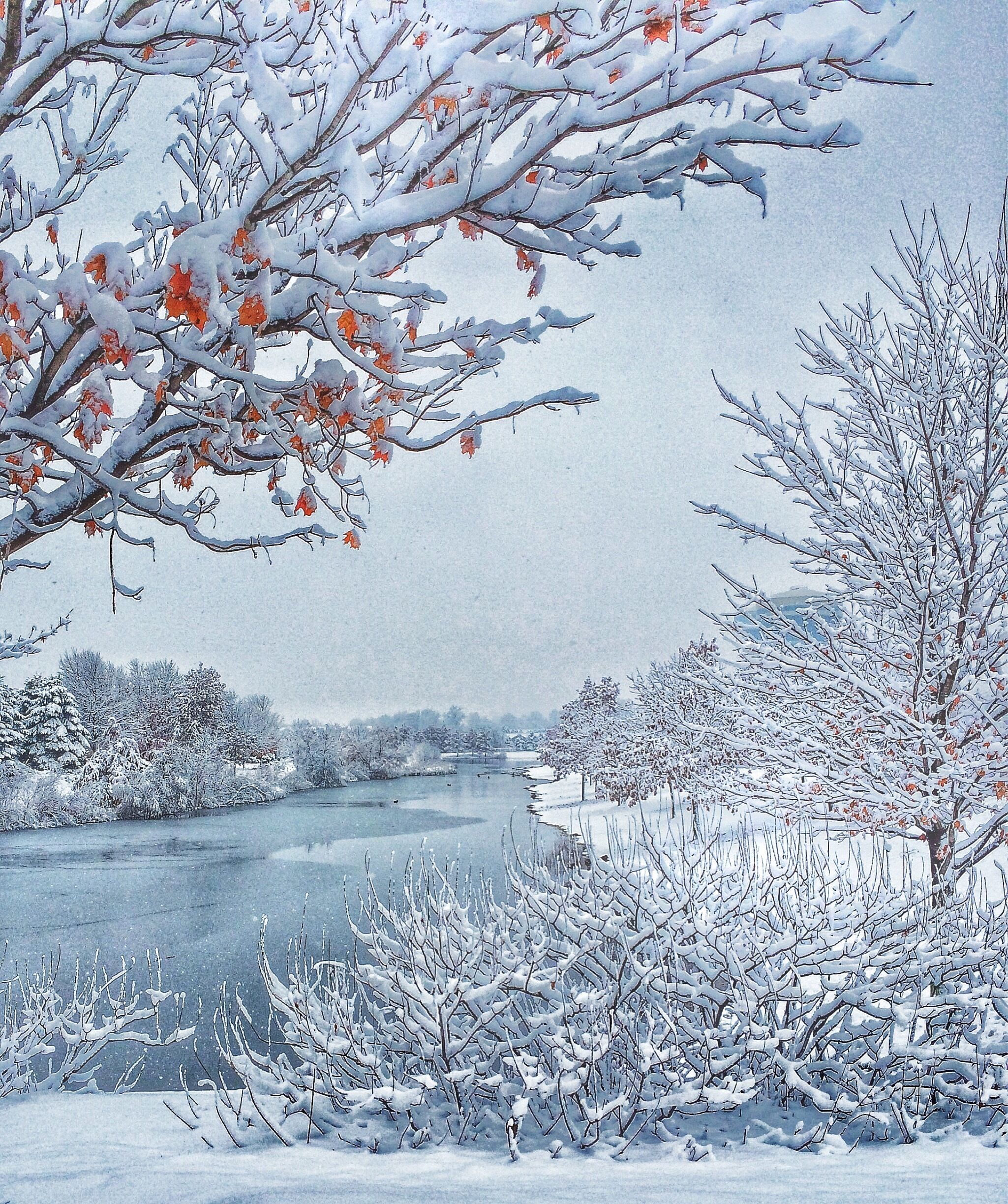 First snow of the year. #winterwonders