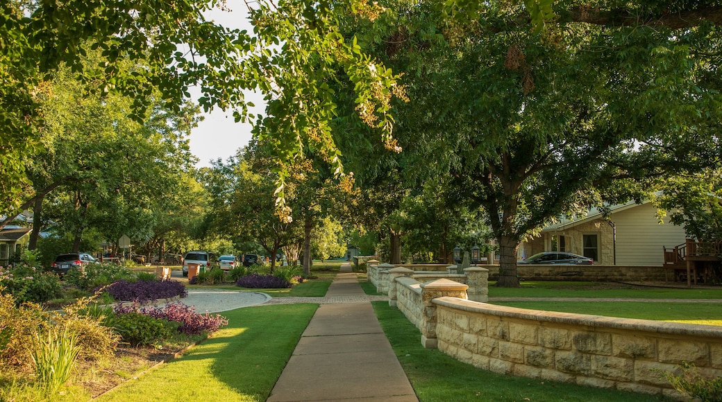 Central Austin featuring a park