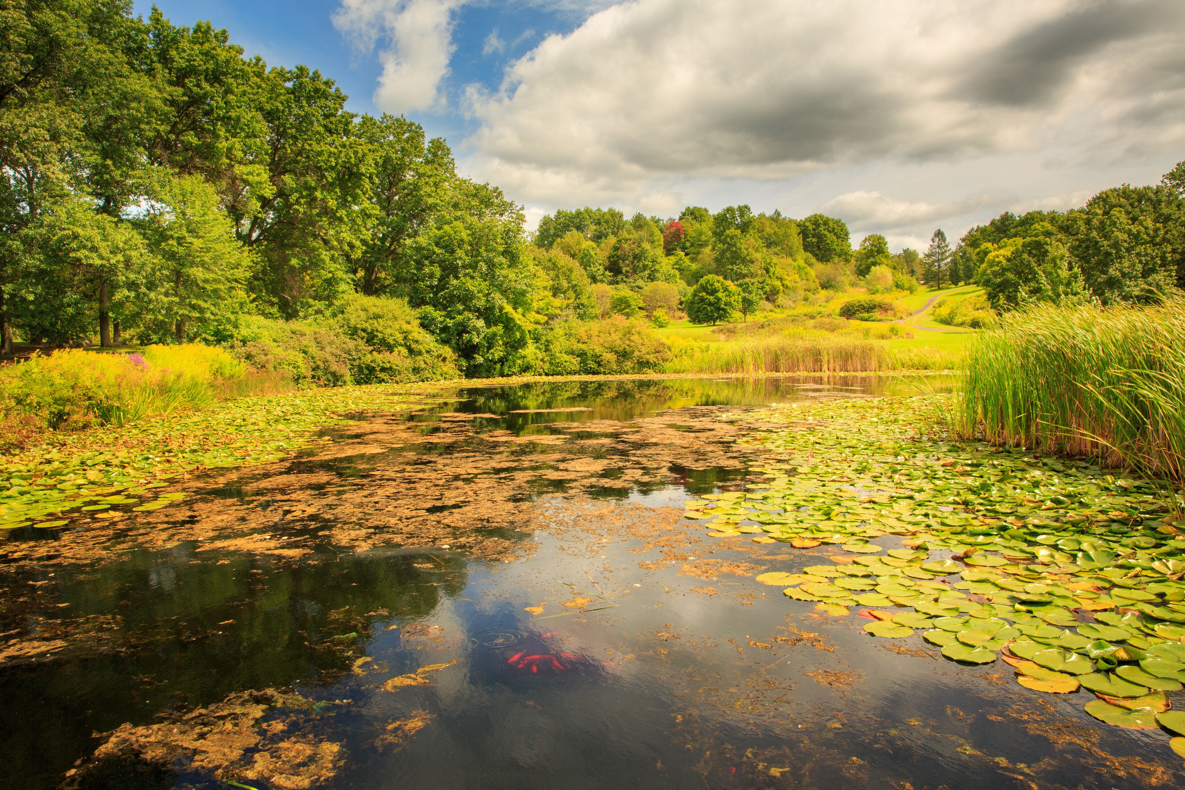 Summer Lake