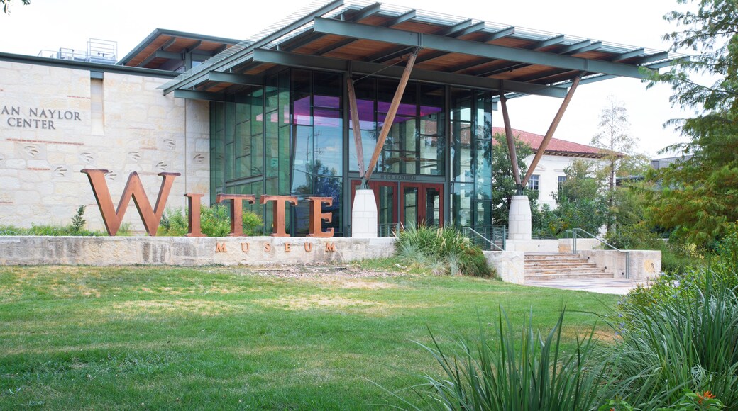 SanAntonio_AlamoHeights_553248633938969296_04