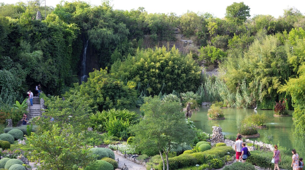 SanAntonio_AlamoHeights_553248633938969296_01