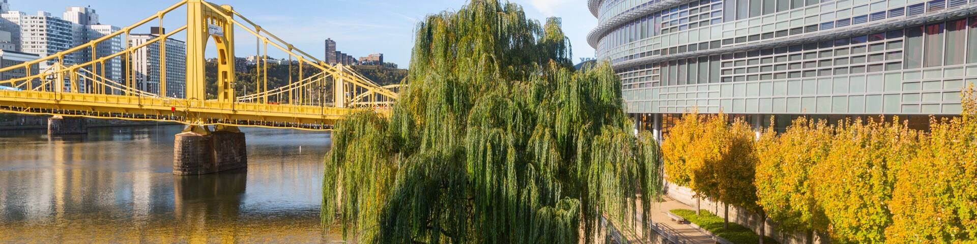 North Shore showing a river or creek, a bridge and a city