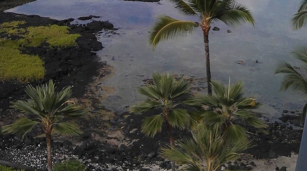 Ancient Hawaiian Ruins, Big Island
#adventure #hawaii #bigisland #beaches #beachlover #volcanoes
