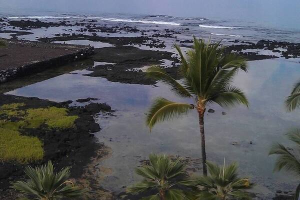 Ancient Hawaiian Ruins, Big Island
#adventure #hawaii #bigisland #beaches #beachlover #volcanoes