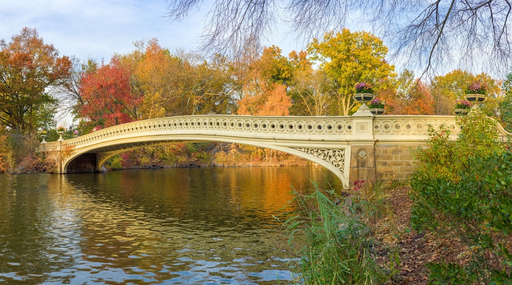 Zentrum von New York City