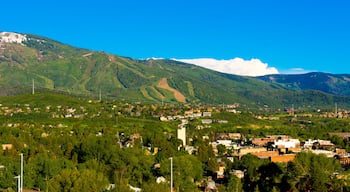 斯廷博特斯普林斯市中心