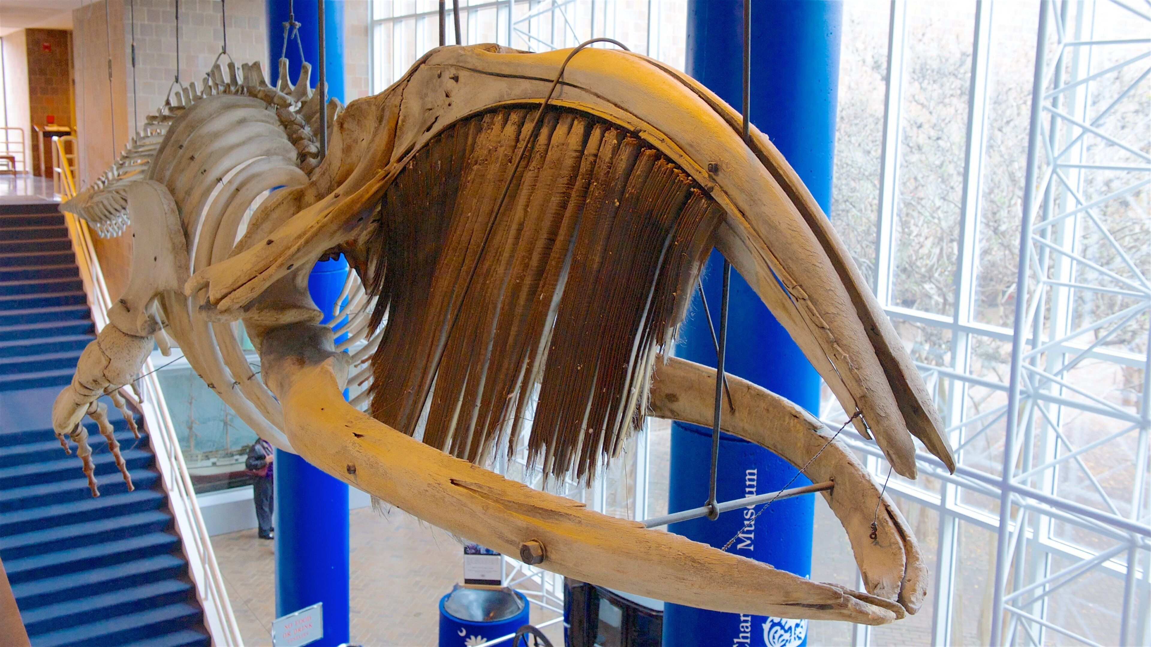 Drayton Hall which includes interior views