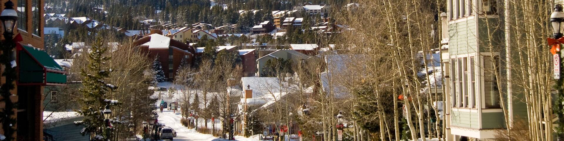 A snow-covered mountain town with buildings and bare trees.