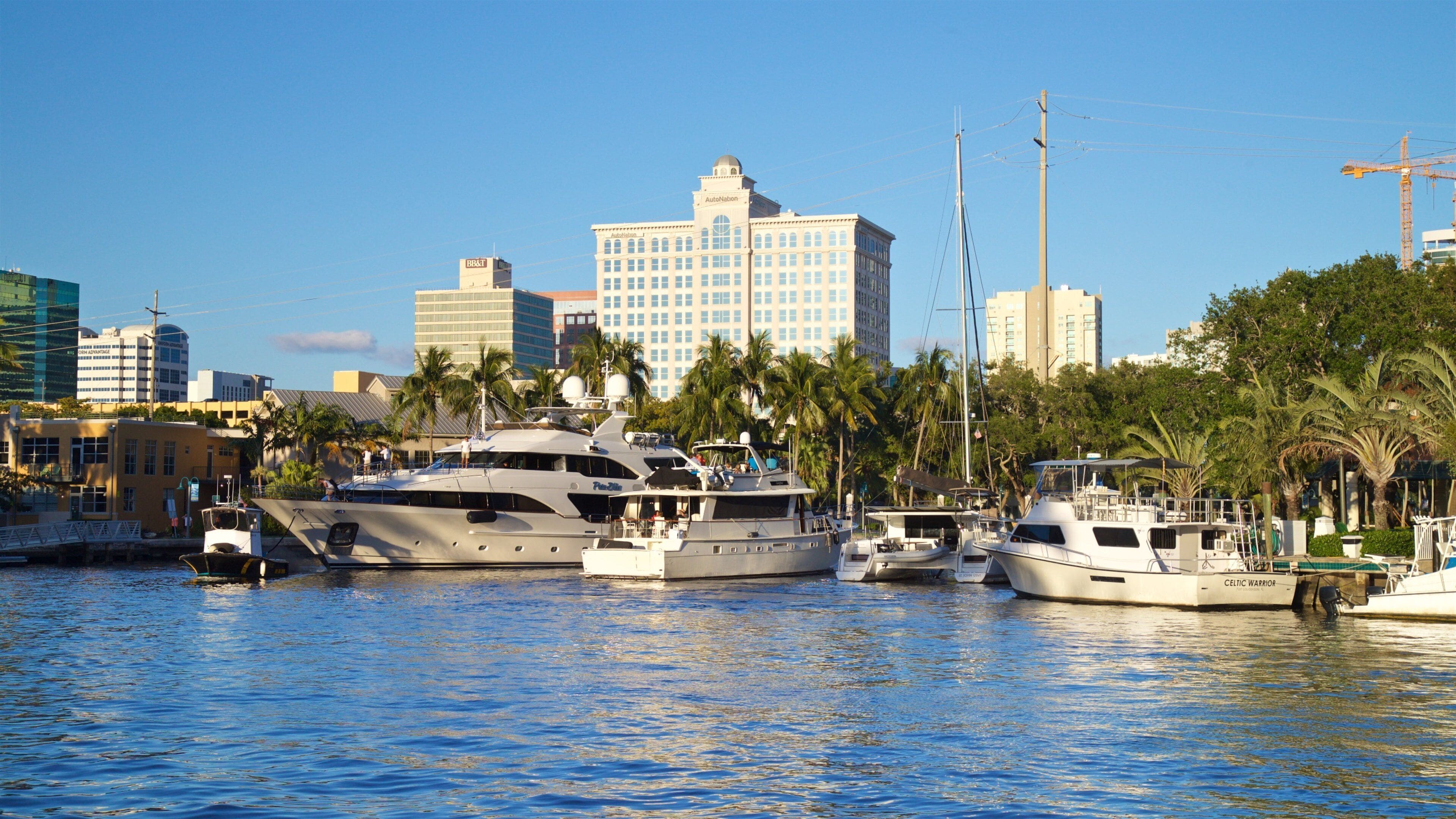 A marina with yachts docked, palm trees, and a city skyline in the background.