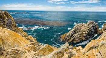 Quartier Eastside de Santa Cruz